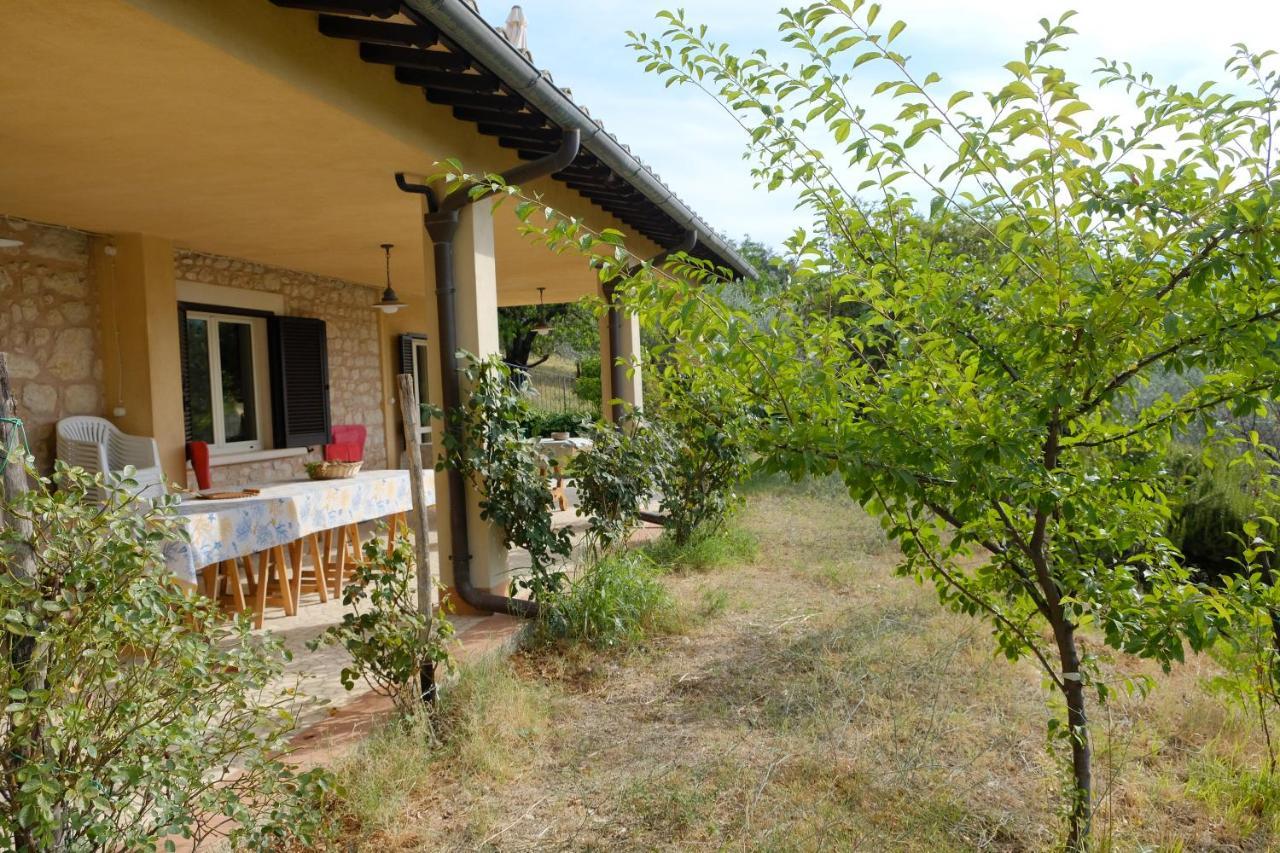 Agriturismo Il Casaletto Montefranco Exterior photo